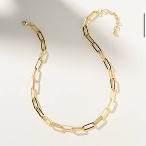 Uncommon James Linked Up Necklace